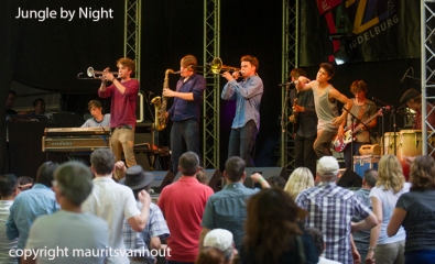 Jazz festival Middelburg 2014 Jungle by night